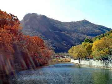 新澳天天开奖资料大全旅游团，小型制沙机